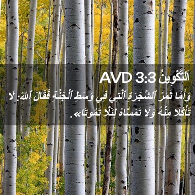 Picture 02 - اَلتَّكْوِينُ 3:3 AVD - وَأَمَّا ثَمَرُ - Bible Verse Picture