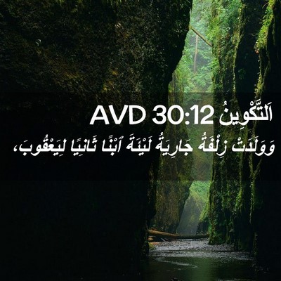 Picture 02 - اَلتَّكْوِينُ 30:12 AVD - وَوَلَدَتْ زِلْفَةُ - Bible Verse Picture
