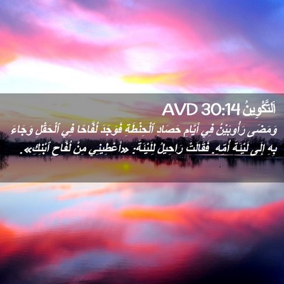 Picture 02 - اَلتَّكْوِينُ 30:14 AVD - وَمَضَى رَأُوبَيْنُ فِي - Bible Verse Picture