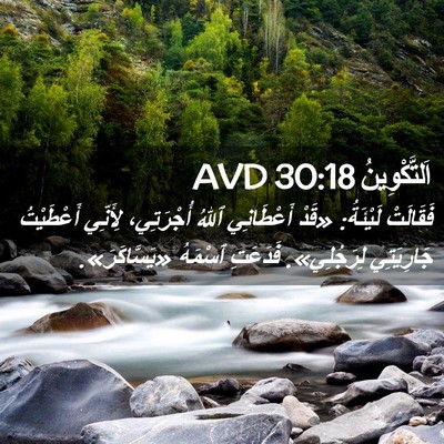 Picture 02 - اَلتَّكْوِينُ 30:18 AVD - فَقَالَتْ لَيْئَةُ: «قَدْ - Bible Verse Picture