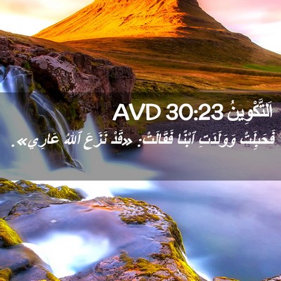 Picture 02 - اَلتَّكْوِينُ 30:23 AVD - فَحَبِلَتْ وَوَلَدَتِ - Bible Verse Picture