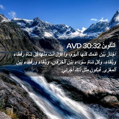 Picture 02 - اَلتَّكْوِينُ 30:32 AVD - أَجْتَازُ بَيْنَ غَنَمِكَ - Bible Verse Picture