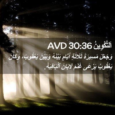 Picture 02 - اَلتَّكْوِينُ 30:36 AVD - وَجَعَلَ مَسِيرَةَ - Bible Verse Picture