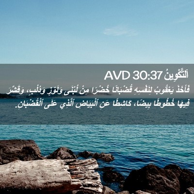 Picture 02 - اَلتَّكْوِينُ 30:37 AVD - فَأَخَذَ يَعْقُوبُ - Bible Verse Picture
