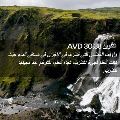 Picture 02 - اَلتَّكْوِينُ 30:38 AVD - وَأَوْقَفَ ٱلْقُضْبَانَ - Bible Verse Picture