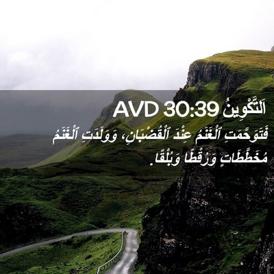 Picture 02 - اَلتَّكْوِينُ 30:39 AVD - فَتَوَحَّمَتِ ٱلْغَنَمُ - Bible Verse Picture