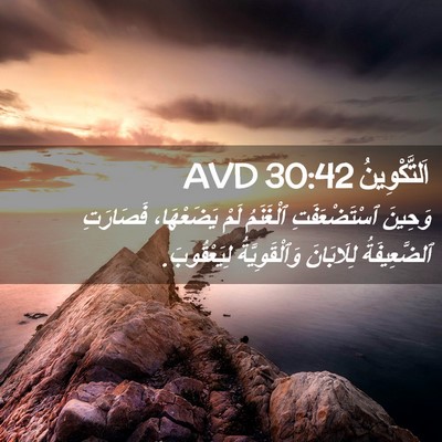 Picture 02 - اَلتَّكْوِينُ 30:42 AVD - وَحِينَ ٱسْتَضْعَفَتِ - Bible Verse Picture