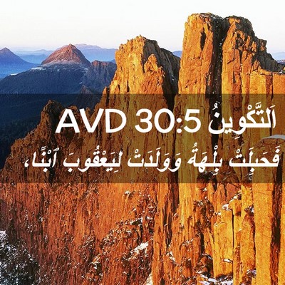 Picture 02 - اَلتَّكْوِينُ 30:5 AVD - فَحَبِلَتْ بِلْهَةُ - Bible Verse Picture