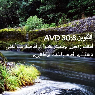 Picture 02 - اَلتَّكْوِينُ 30:8 AVD - فَقَالَتْ رَاحِيلُ: - Bible Verse Picture