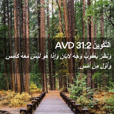 Picture 02 - اَلتَّكْوِينُ 31:2 AVD - وَنَظَرَ يَعْقُوبُ وَجْهَ - Bible Verse Picture