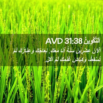 Picture 02 - اَلتَّكْوِينُ 31:38 AVD - اَلْآنَ عِشْرِينَ سَنَةً - Bible Verse Picture