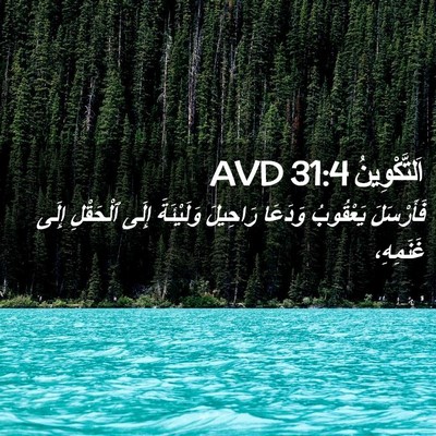 Picture 02 - اَلتَّكْوِينُ 31:4 AVD - فَأَرْسَلَ يَعْقُوبُ - Bible Verse Picture