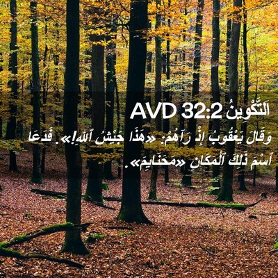 Picture 02 - اَلتَّكْوِينُ 32:2 AVD - وَقَالَ يَعْقُوبُ إِذْ - Bible Verse Picture