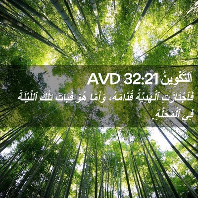 Picture 02 - اَلتَّكْوِينُ 32:21 AVD - فَٱجْتَازَتِ ٱلْهَدِيَّةُ - Bible Verse Picture