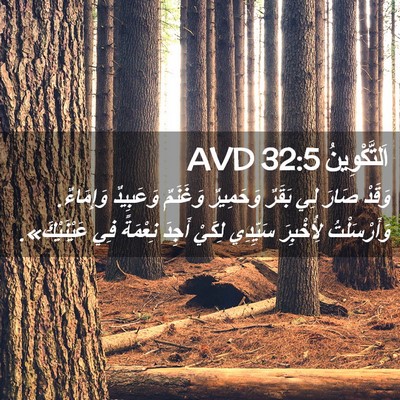 Picture 02 - اَلتَّكْوِينُ 32:5 AVD - وَقَدْ صَارَ لِي بَقَرٌ - Bible Verse Picture