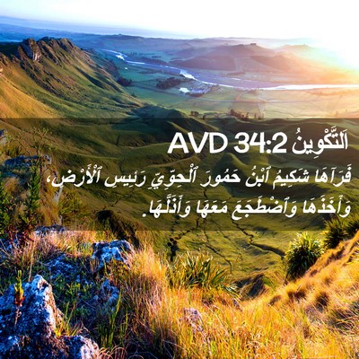 Picture 02 - اَلتَّكْوِينُ 34:2 AVD - فَرَآهَا شَكِيمُ ٱبْنُ - Bible Verse Picture