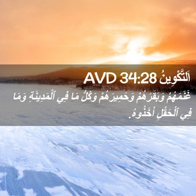 Picture 02 - اَلتَّكْوِينُ 34:28 AVD - غَنَمَهُمْ وَبَقَرَهُمْ - Bible Verse Picture