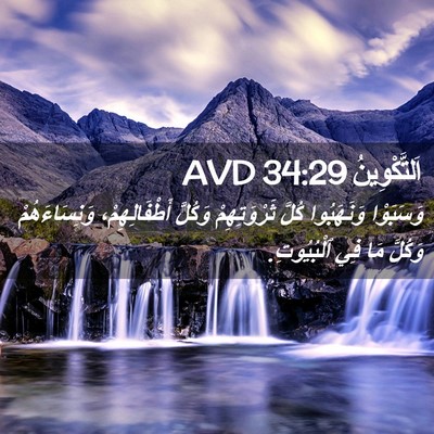 Picture 02 - اَلتَّكْوِينُ 34:29 AVD - وَسَبَوْا وَنَهَبُوا - Bible Verse Picture