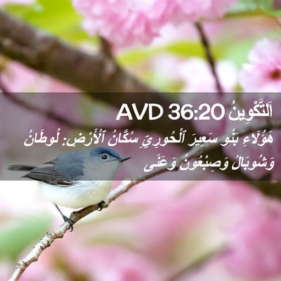Picture 02 - اَلتَّكْوِينُ 36:20 AVD - هَؤُلَاءِ بَنُو سَعِيرَ - Bible Verse Picture