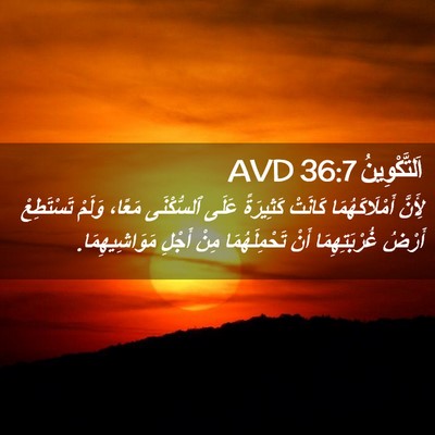 Picture 02 - اَلتَّكْوِينُ 36:7 AVD - لِأَنَّ أَمْلَاكَهُمَا - Bible Verse Picture
