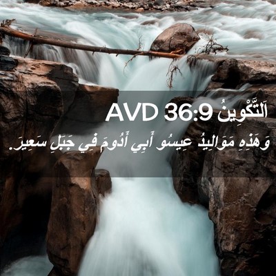 Picture 02 - اَلتَّكْوِينُ 36:9 AVD - وَهَذِهِ مَوَالِيدُ - Bible Verse Picture