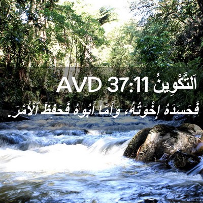 Picture 02 - اَلتَّكْوِينُ 37:11 AVD - فَحَسَدَهُ إِخْوَتُهُ، - Bible Verse Picture