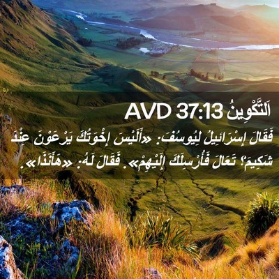 Picture 02 - اَلتَّكْوِينُ 37:13 AVD - فَقَالَ إِسْرَائِيلُ - Bible Verse Picture