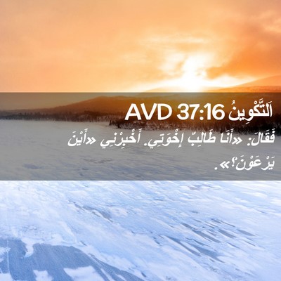 Picture 02 - اَلتَّكْوِينُ 37:16 AVD - فَقَالَ: «أَنَا طَالِبٌ - Bible Verse Picture