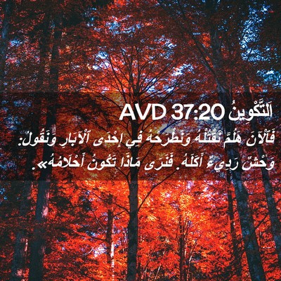 Picture 02 - اَلتَّكْوِينُ 37:20 AVD - فَٱلْآنَ هَلُمَّ - Bible Verse Picture