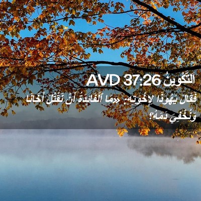 Picture 02 - اَلتَّكْوِينُ 37:26 AVD - فَقَالَ يَهُوذَا - Bible Verse Picture