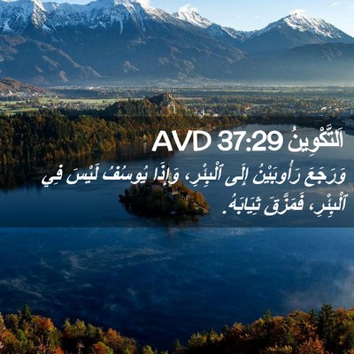 Picture 02 - اَلتَّكْوِينُ 37:29 AVD - وَرَجَعَ رَأُوبَيْنُ - Bible Verse Picture