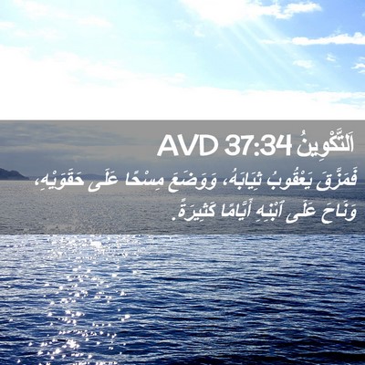 Picture 02 - اَلتَّكْوِينُ 37:34 AVD - فَمَزَّقَ يَعْقُوبُ - Bible Verse Picture