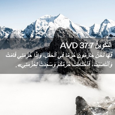 Picture 02 - اَلتَّكْوِينُ 37:7 AVD - فَهَا نَحْنُ حَازِمُونَ - Bible Verse Picture