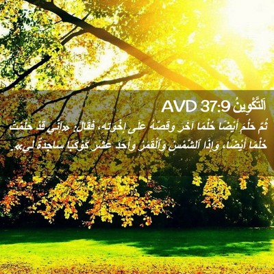 Picture 02 - اَلتَّكْوِينُ 37:9 AVD - ثُمَّ حَلُمَ أَيْضًا - Bible Verse Picture