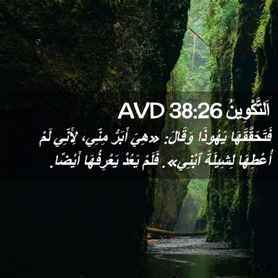Picture 02 - اَلتَّكْوِينُ 38:26 AVD - فَتَحَقَّقَهَا يَهُوذَا - Bible Verse Picture