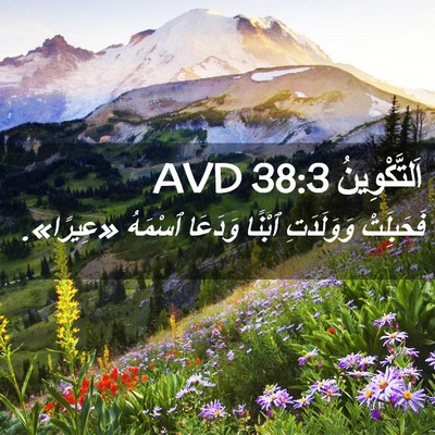 Picture 02 - اَلتَّكْوِينُ 38:3 AVD - فَحَبِلَتْ وَوَلَدَتِ - Bible Verse Picture