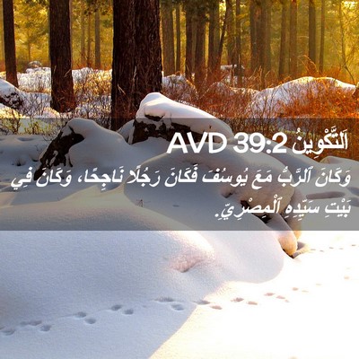 Picture 02 - اَلتَّكْوِينُ 39:2 AVD - وَكَانَ ٱلرَّبُّ مَعَ - Bible Verse Picture