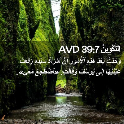 Picture 02 - اَلتَّكْوِينُ 39:7 AVD - وَحَدَثَ بَعْدَ هَذِهِ - Bible Verse Picture
