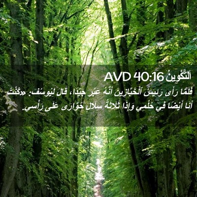 Picture 02 - اَلتَّكْوِينُ 40:16 AVD - فَلَمَّا رَأَى رَئِيسُ - Bible Verse Picture