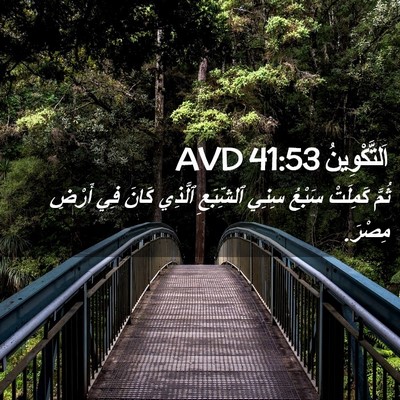 Picture 02 - اَلتَّكْوِينُ 41:53 AVD - ثُمَّ كَمِلَتْ سَبْعُ - Bible Verse Picture