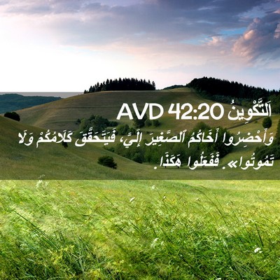 Picture 02 - اَلتَّكْوِينُ 42:20 AVD - وَأَحْضِرُوا أَخَاكُمُ - Bible Verse Picture