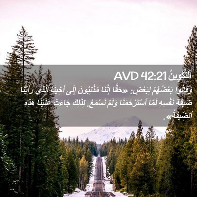 Picture 02 - اَلتَّكْوِينُ 42:21 AVD - وَقَالُوا بَعْضُهُمْ - Bible Verse Picture