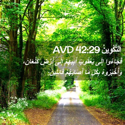 Picture 02 - اَلتَّكْوِينُ 42:29 AVD - فَجَاءُوا إِلَى يَعْقُوبَ - Bible Verse Picture