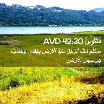 Picture 02 - اَلتَّكْوِينُ 42:30 AVD - «تَكَلَّمَ مَعَنَا - Bible Verse Picture