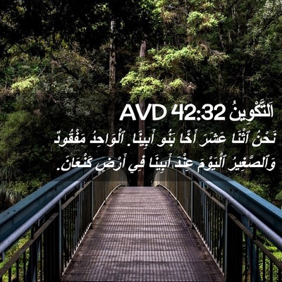 Picture 02 - اَلتَّكْوِينُ 42:32 AVD - نَحْنُ ٱثْنَا عَشَرَ أَخًا - Bible Verse Picture