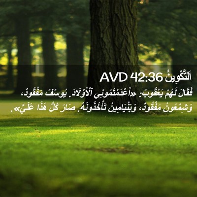 Picture 02 - اَلتَّكْوِينُ 42:36 AVD - فَقَالَ لَهُمْ يَعْقُوبُ: - Bible Verse Picture