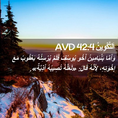 Picture 02 - اَلتَّكْوِينُ 42:4 AVD - وَأَمَّا بَنْيَامِينُ - Bible Verse Picture