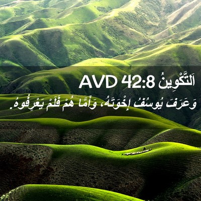 Picture 02 - اَلتَّكْوِينُ 42:8 AVD - وَعَرَفَ يُوسُفُ - Bible Verse Picture
