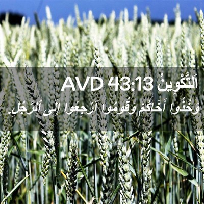 Picture 02 - اَلتَّكْوِينُ 43:13 AVD - وَخُذُوا أَخَاكُمْ - Bible Verse Picture