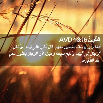 Picture 02 - اَلتَّكْوِينُ 43:16 AVD - فَلَمَّا رَأَى يُوسُفُ - Bible Verse Picture